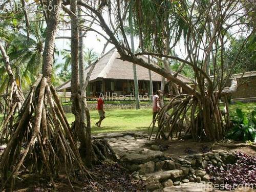 ALiLa Manggis boutique 46